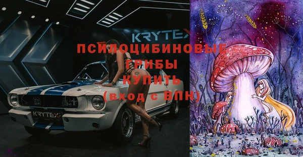 соль курить ск Белокуриха
