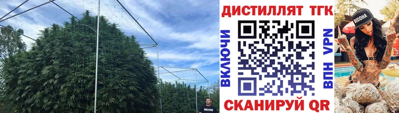 ТГК гашишное масло  Гай 